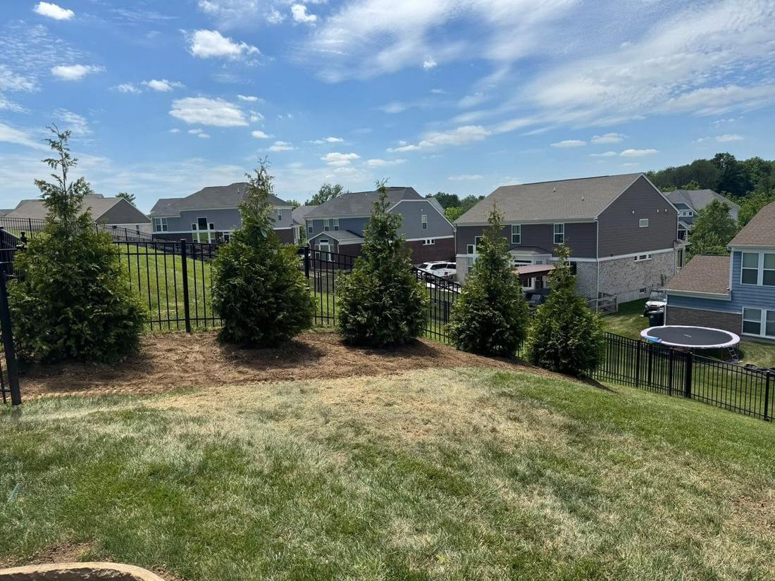 Cleared and graded rear yard