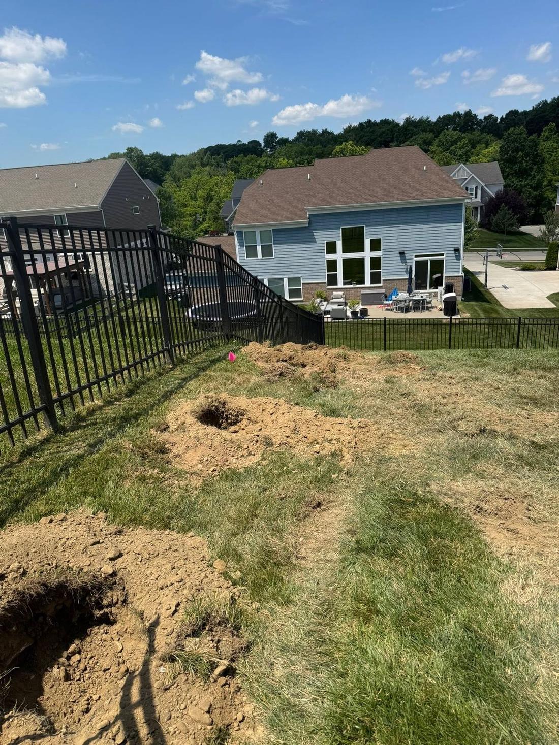 Tree planting and site work