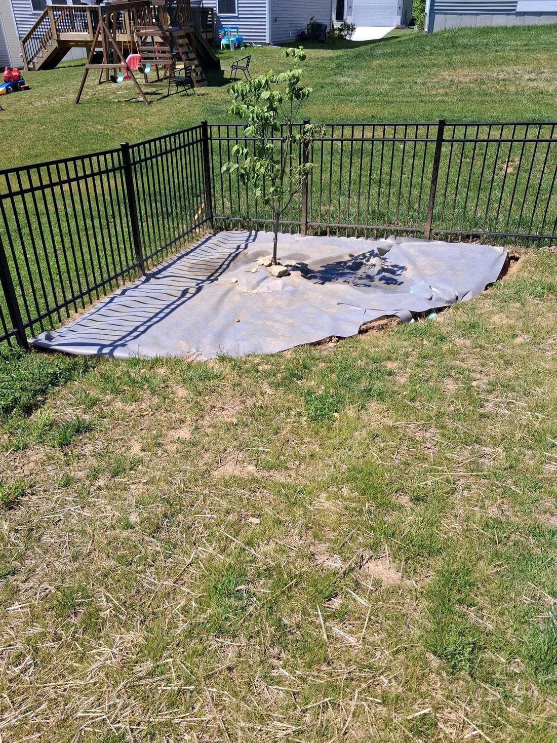 Yard regrading behind new fencing