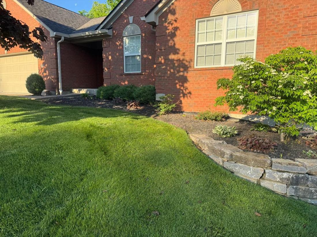 Stone retaining wall and plantings