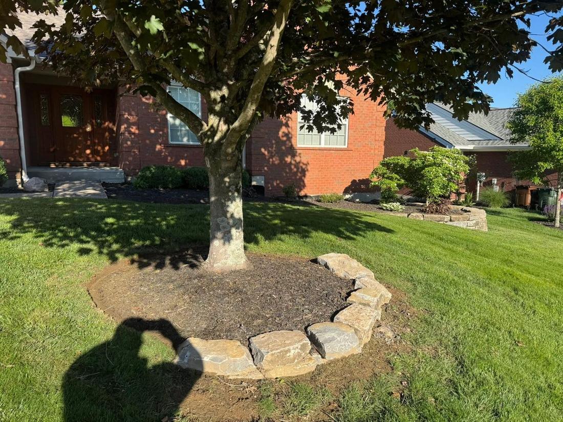 Stone tree ring