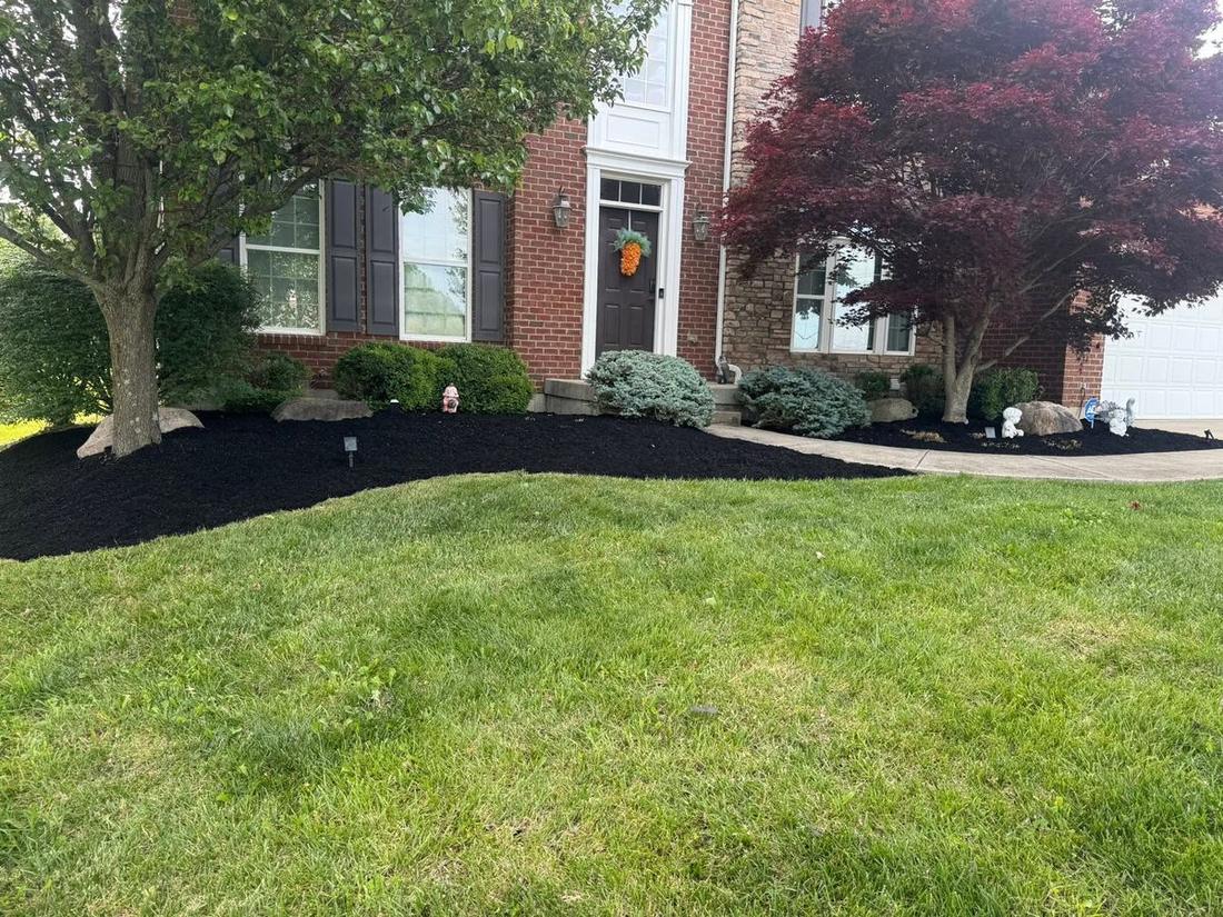 Mulch beds and trimmed shrubs