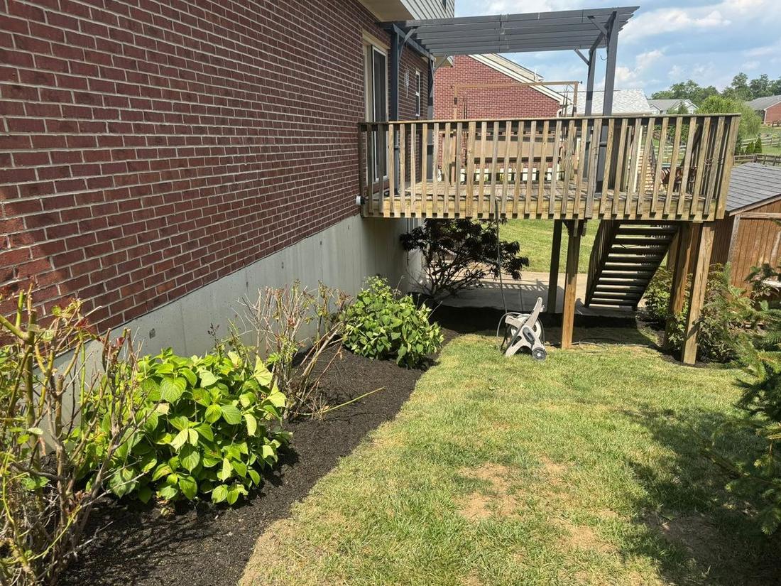Plantings beside the deck