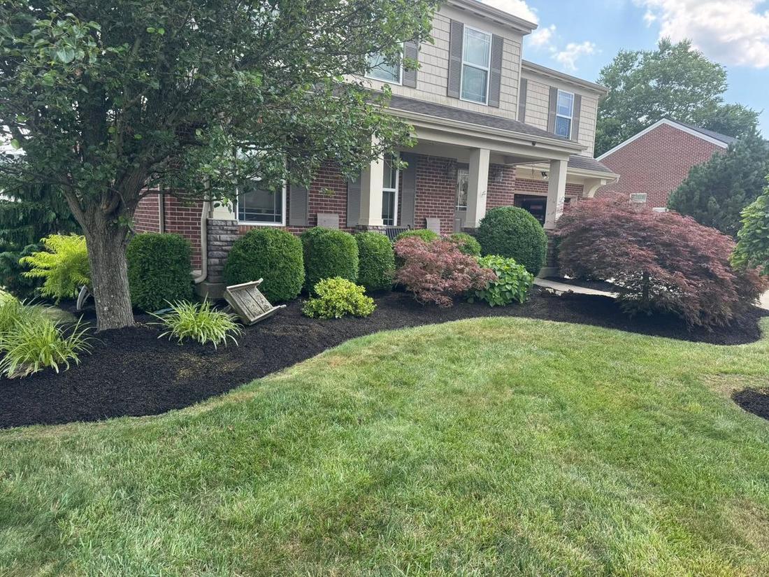 Ornamental grasses and shrub bed