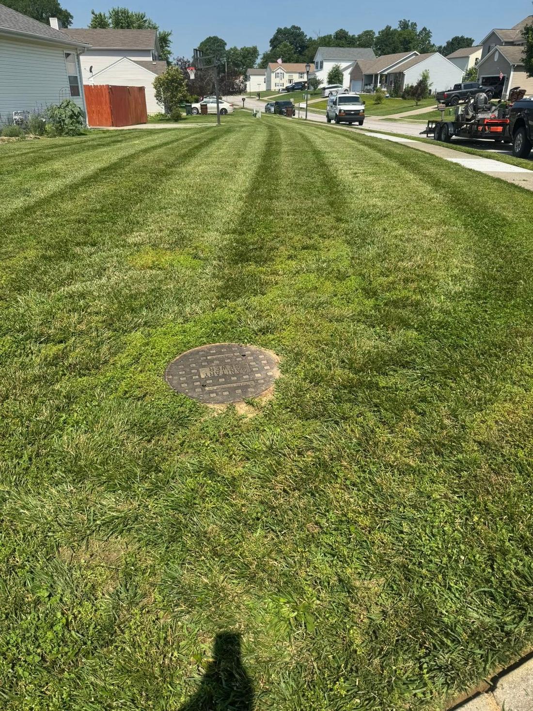 Striped cut on a maintained lawn