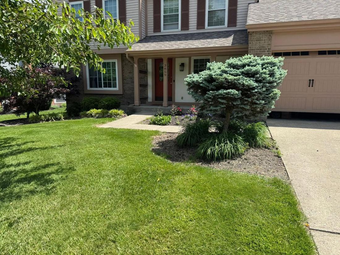 Full front-yard bed installation