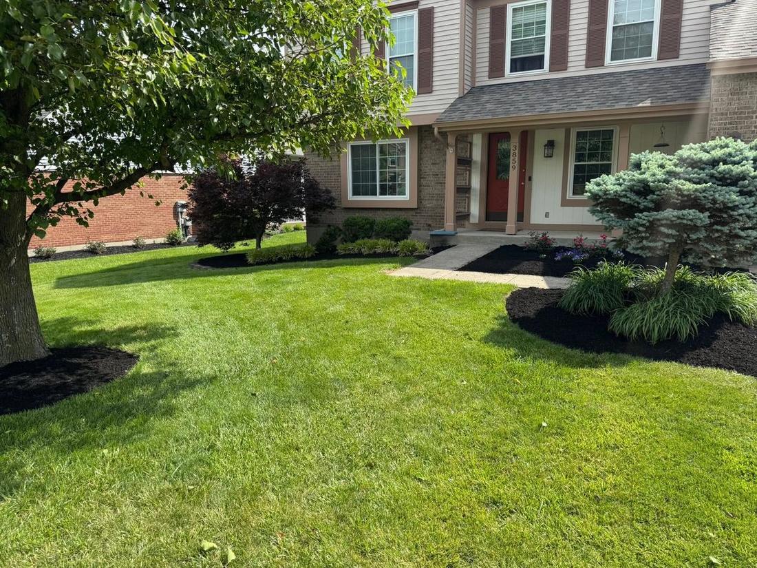 Bed shaping and evergreen plantings