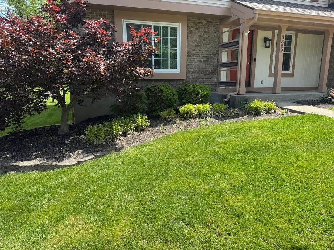 Front landscaping with mulched beds