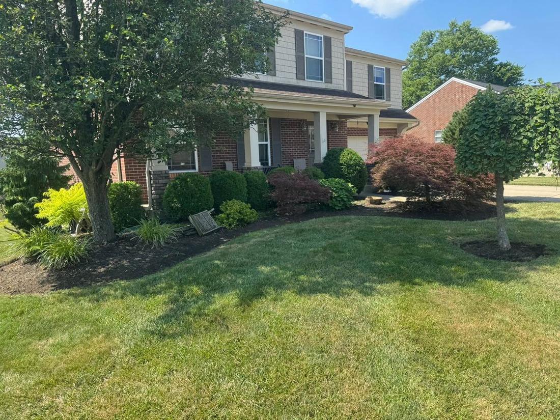 Front landscaping and lawn