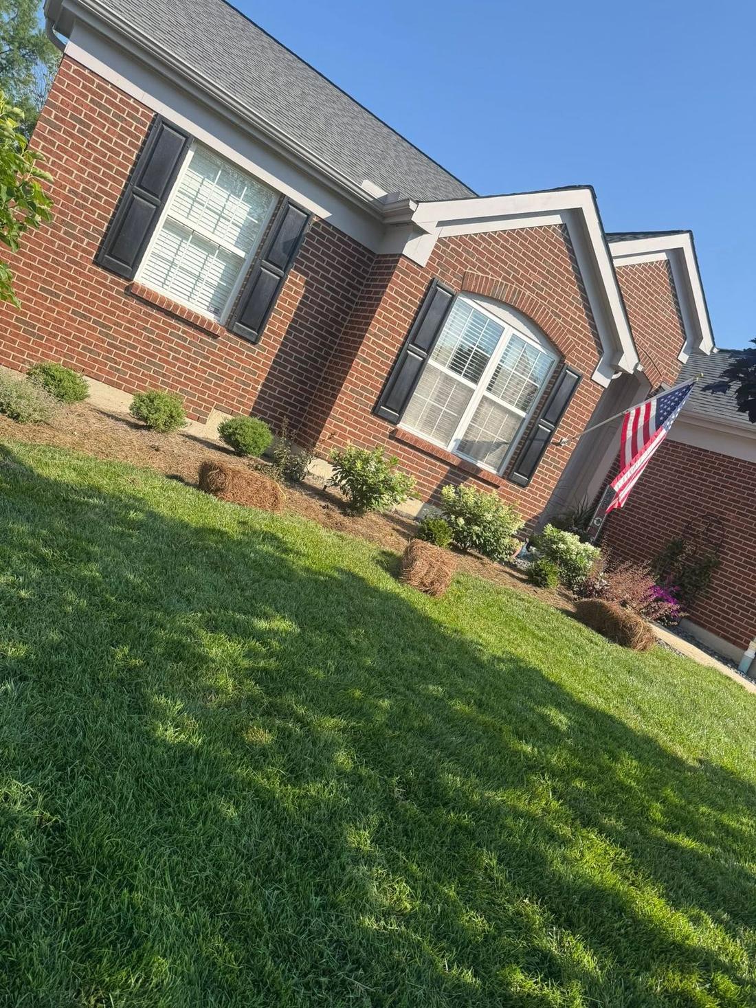 Foundation plantings and lawn