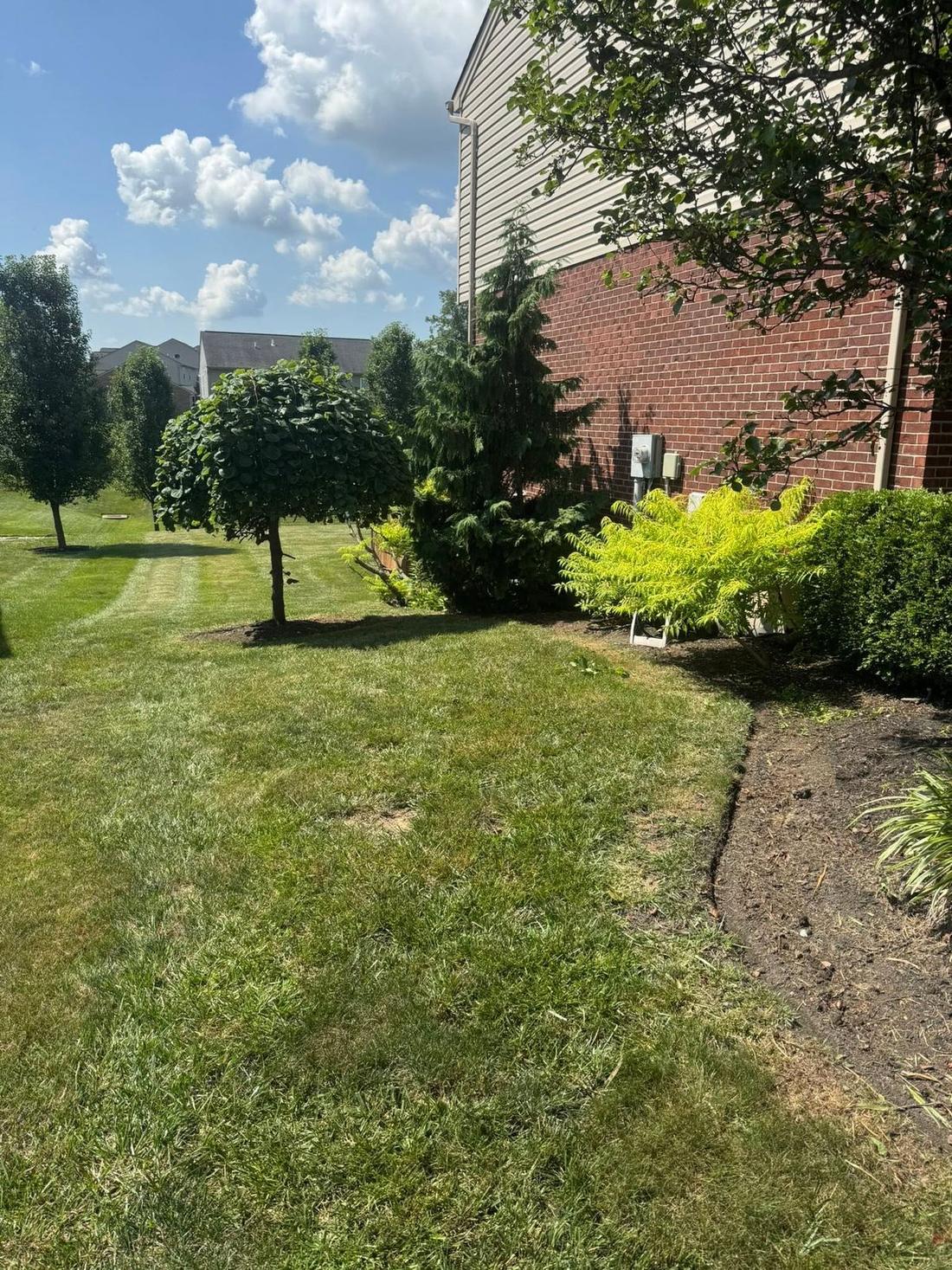 Front yard bed and lawn