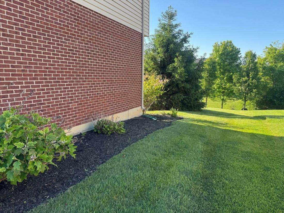 Side-yard bed and mulch