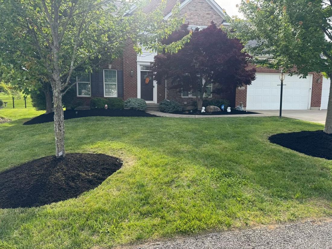 Front beds after mulching